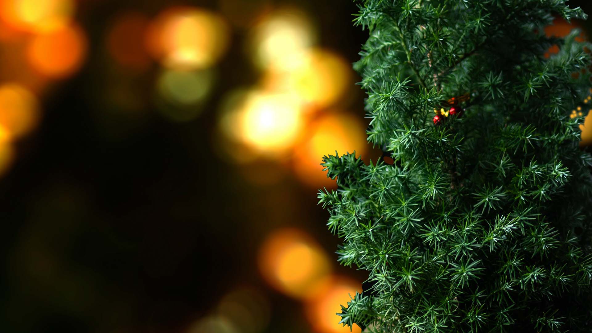 12 Rs of Christmas