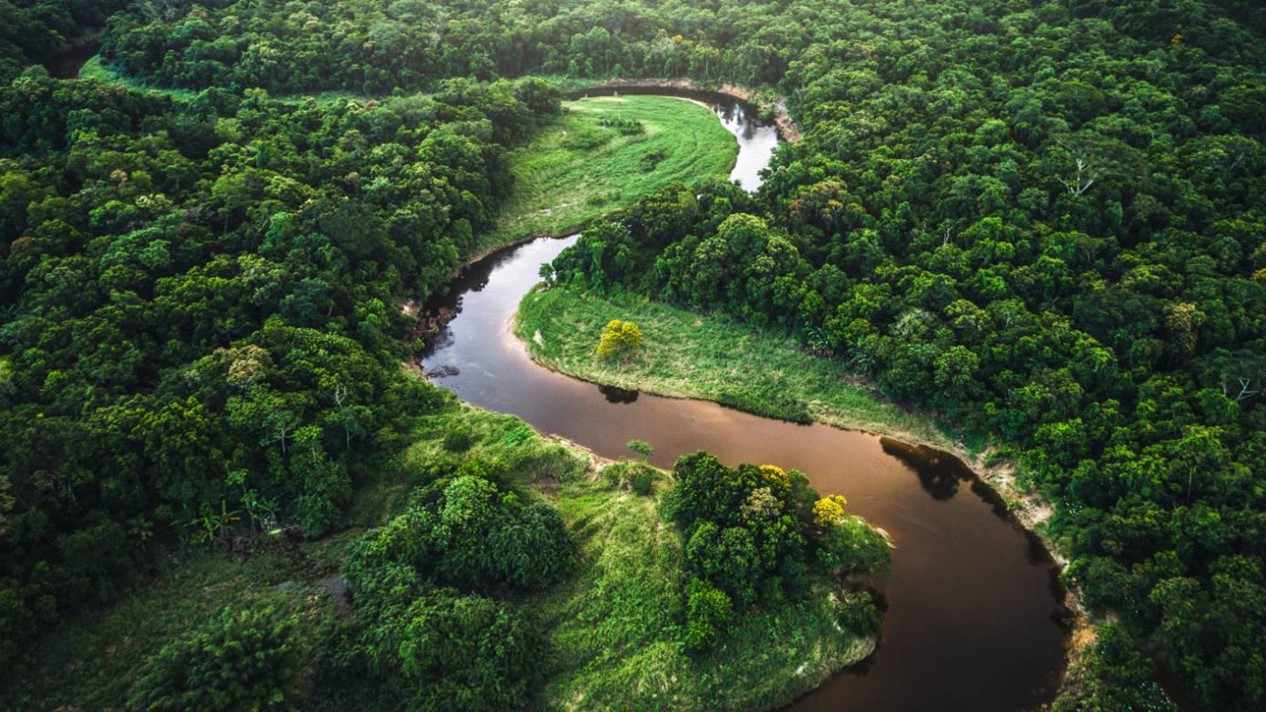Tackling Climate Change