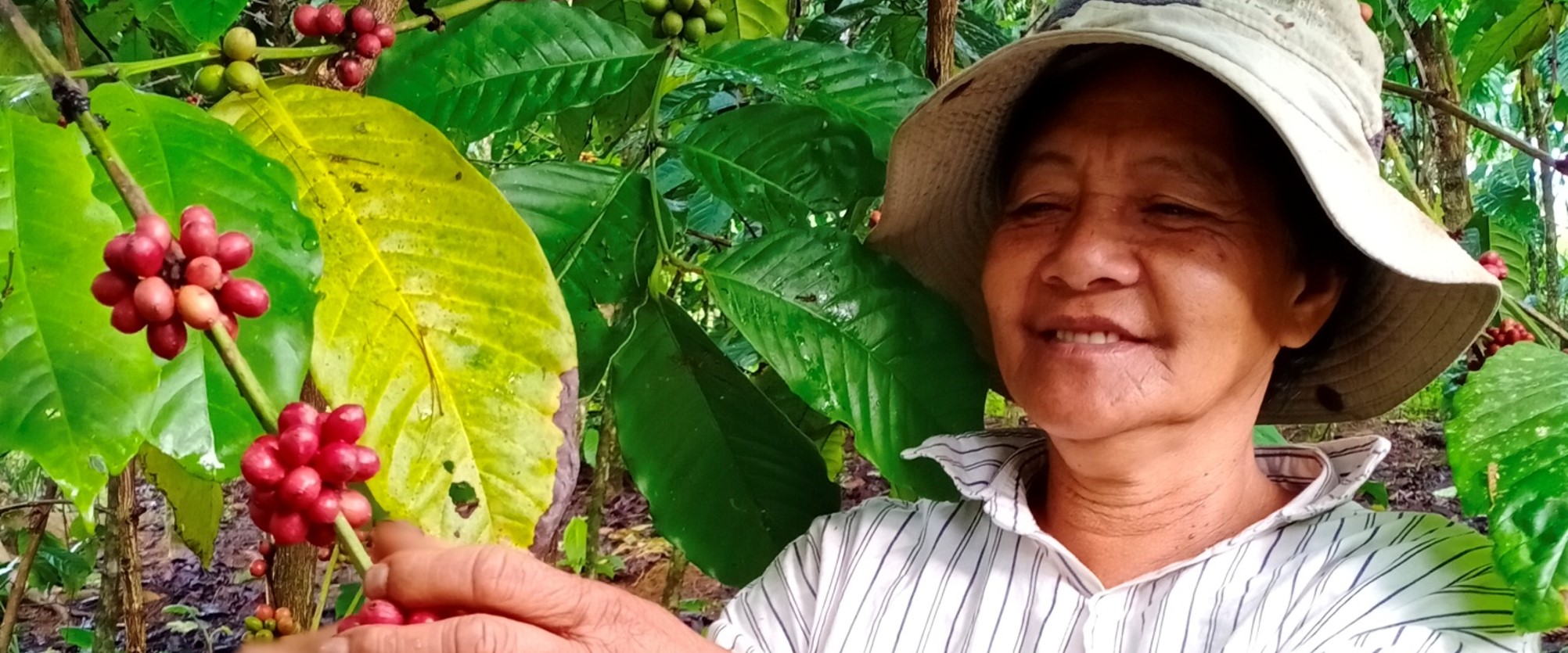 Women Coffee Farmers