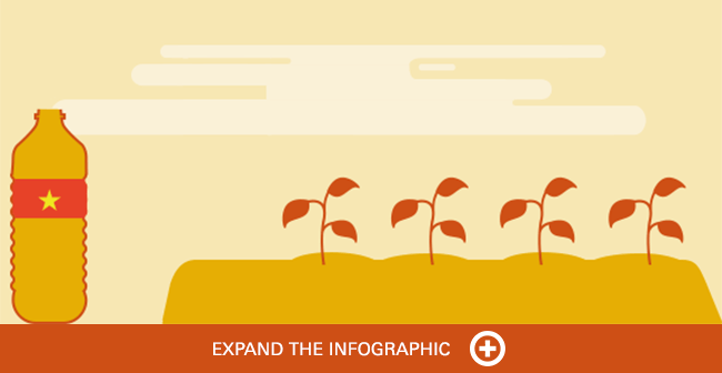 Vietnam coffee irrigation infographic
