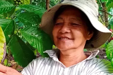Women Coffee Farmers