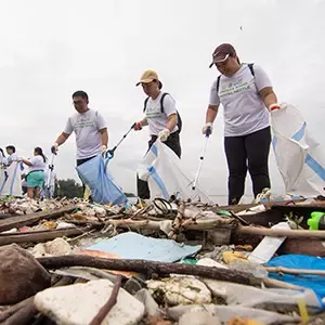 People collect plastic