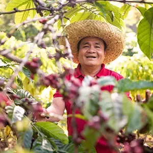 Farmer in hat
