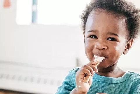 Toddler Nutrition